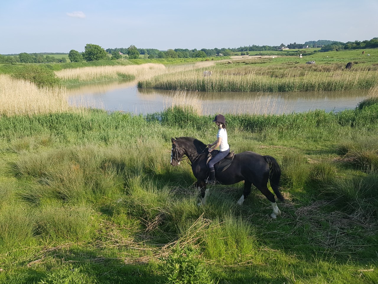 Countryside horse riding